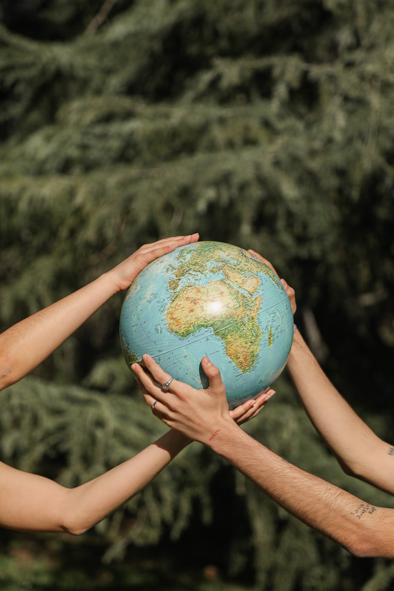8 Tips to Become Eco-Friendly and Avoid Paper in 2023 – My Live Signature